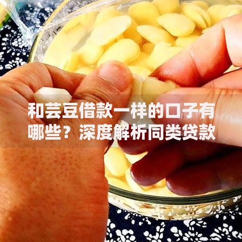 和芸豆借款一样的口子有哪些？深度解析同类贷款平台