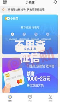 不用查征信的小额贷款平台5000：低门槛快速放款渠道解析