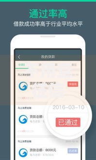 不用查征信的小额贷款平台5000：低门槛快速放款渠道解析
