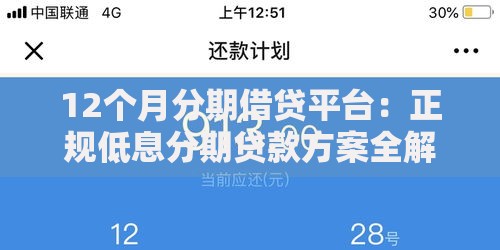 12个月分期借贷平台：正规低息分期贷款方案全解析