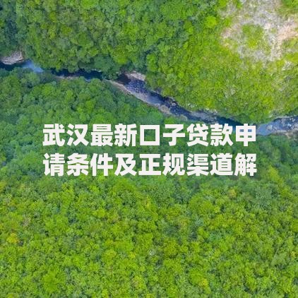 武汉最新口子贷款申请条件及正规渠道解析