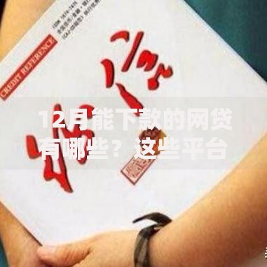 12月能下款的网贷有哪些？这些平台放款快、额度高