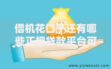 借机花口子还有哪些正规贷款平台可选