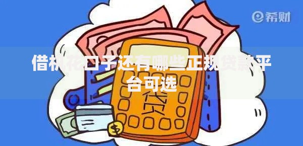 借机花口子还有哪些正规贷款平台可选
