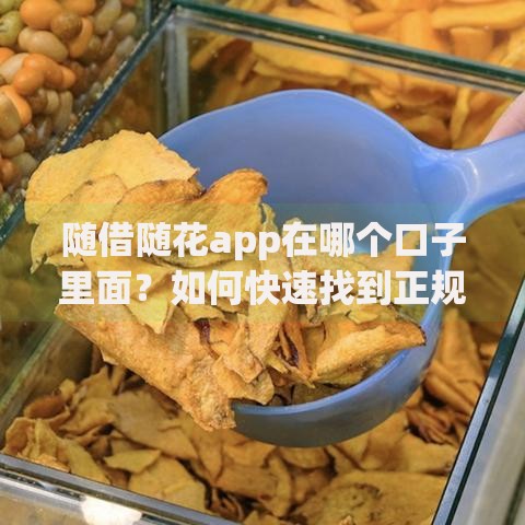 随借随花app在哪个口子里面？如何快速找到正规渠道