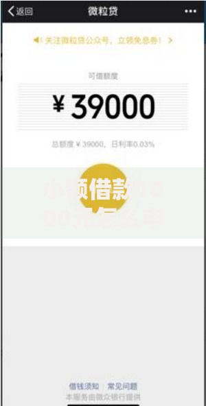 小额借款1000元怎么申请？正规渠道全流程解析