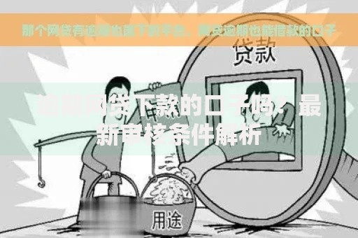 逾期网贷下款的口子吗？最新审核条件解析