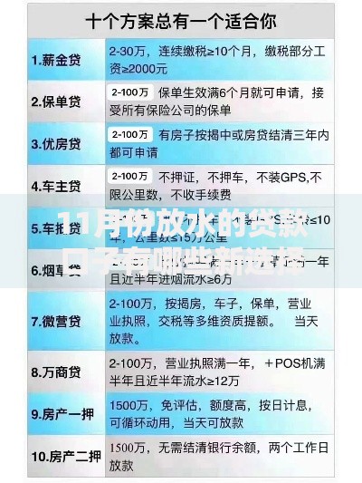 11月份放水的贷款口子有哪些新选择