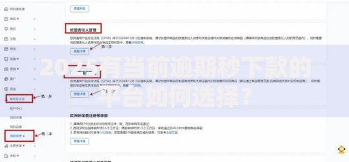 2025有当前逾期秒下款的平台如何选择？