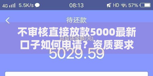 不审核直接放款5000最新口子如何申请？资质要求解析