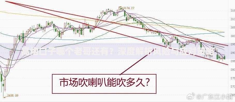 高炮口子哪个老哥还有？深度解析风险与应对策略