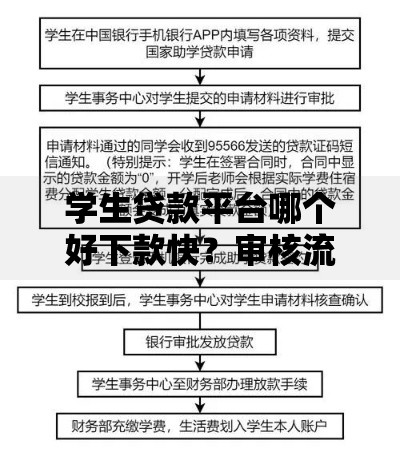 学生贷款平台哪个好下款快？审核流程与资质要求解析