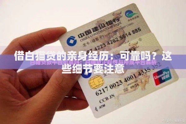 借白猫贷的亲身经历：可靠吗？这些细节要注意