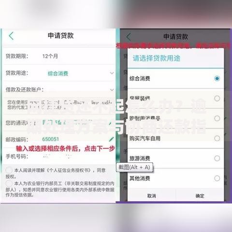 网捷贷还不起怎么办？逾期处理方案与协商还款指南
