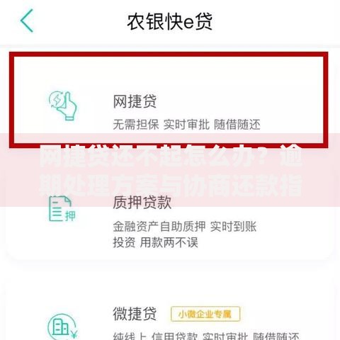 网捷贷还不起怎么办？逾期处理方案与协商还款指南