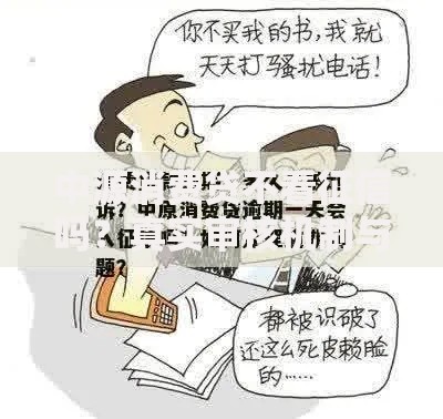 中源消费贷不看征信吗？真实审核机制与申请条件解析