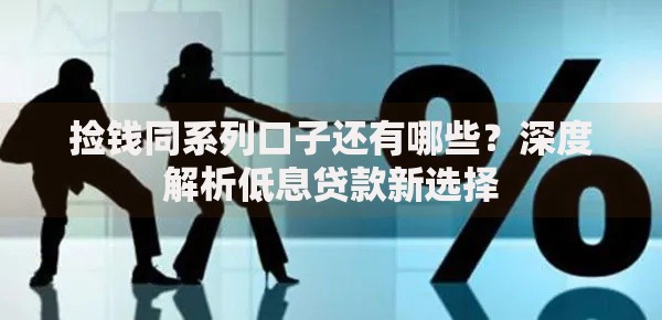 捡钱同系列口子还有哪些？深度解析低息贷款新选择
