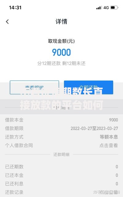 不看征信期数长直接放款的平台如何选择正规渠道