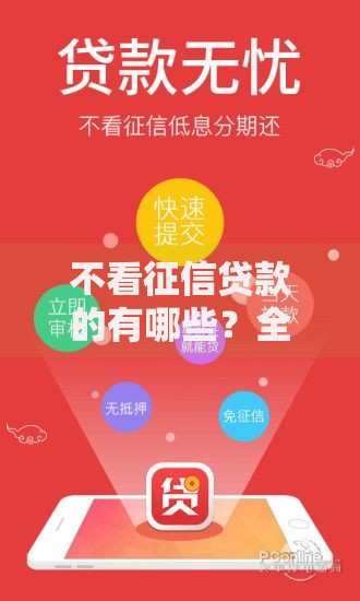 不看征信贷款的有哪些？全面解析无信用审核贷款渠道