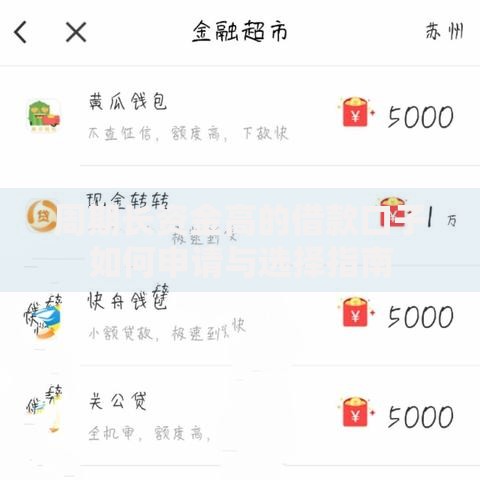 周期长资金高的借款口子如何申请与选择指南