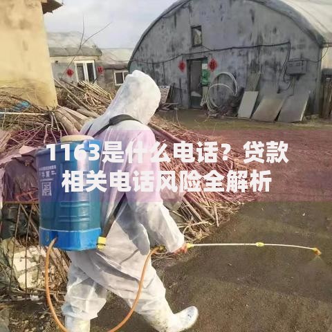 1163是什么电话？贷款相关电话风险全解析