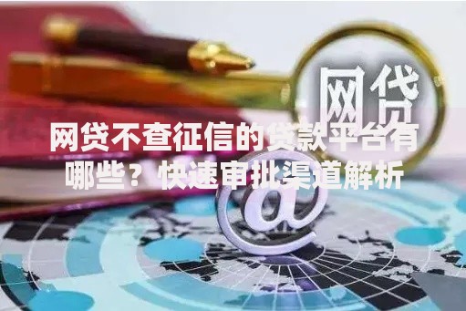 网贷不查征信的贷款平台有哪些？快速审批渠道解析