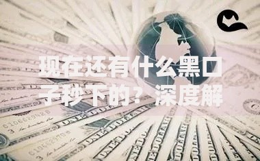 现在还有什么黑口子秒下的？深度解析贷款风险与正规渠道