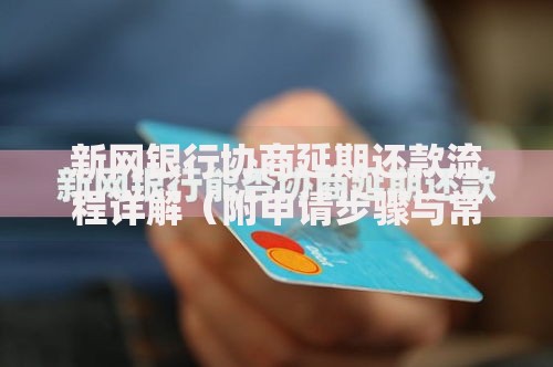 新网银行协商延期还款流程详解（附申请步骤与常见问题）