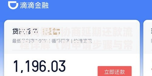 新网银行协商延期还款流程详解（附申请步骤与常见问题）