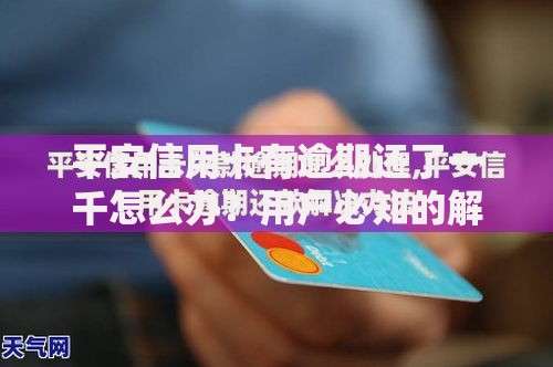 平安信用卡有逾期还了一千怎么办？用户必知的解决方案解析