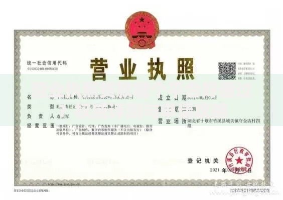 营业执照贷款哪个平台好通过？权威评测与申请攻略