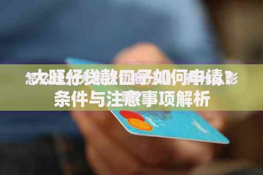 大旺仔贷款口子如何申请？条件与注意事项解析