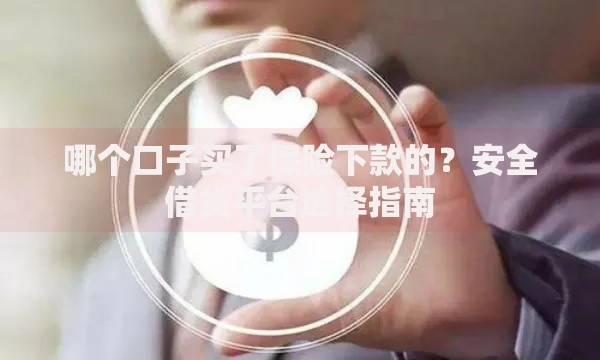哪个口子买了保险下款的？安全借贷平台选择指南