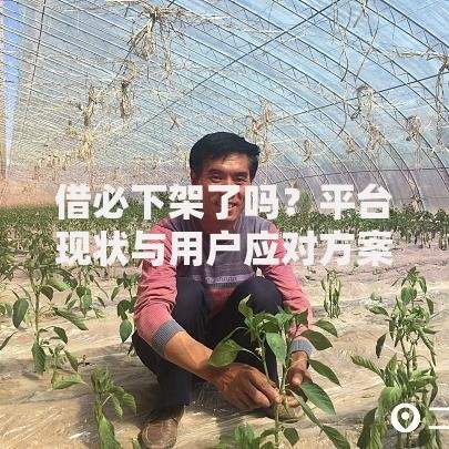 借必下架了吗？平台现状与用户应对方案解析