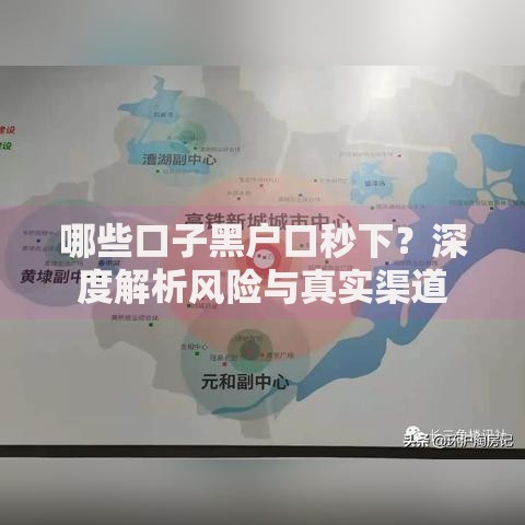 哪些口子黑户口秒下？深度解析风险与真实渠道