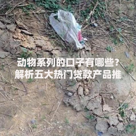 动物系列的口子有哪些？解析五大热门贷款产品推荐