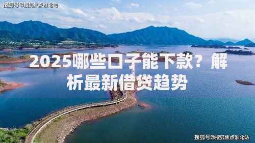 2025哪些口子能下款？解析最新借贷趋势