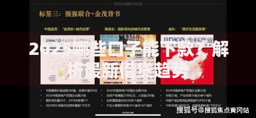 2025哪些口子能下款？解析最新借贷趋势