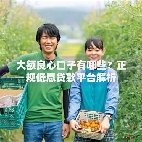 大额良心口子有哪些？正规低息贷款平台解析
