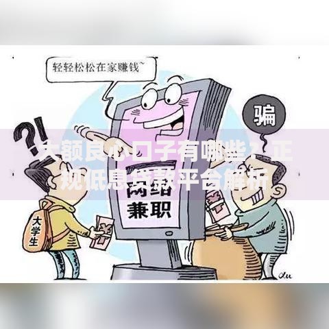 大额良心口子有哪些？正规低息贷款平台解析