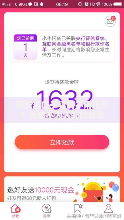 网贷黑口子真的不用还吗？揭秘不为人知的后果