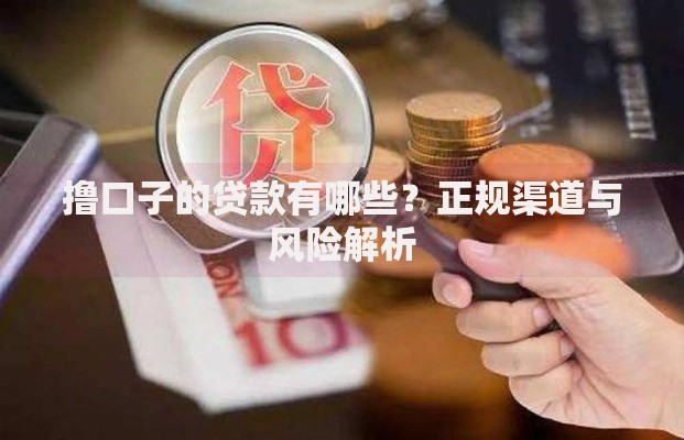 撸口子的贷款有哪些？正规渠道与风险解析
