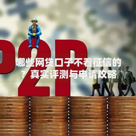 哪些网贷口子不看征信的？真实评测与申请攻略