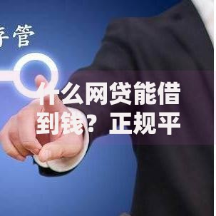什么网贷能借到钱？正规平台筛选方法与避坑指南