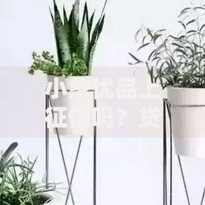 小象优品上征信吗？贷款征信影响全解析