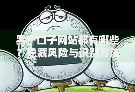 黑户口子网站都有哪些？隐藏风险与识别方法解析