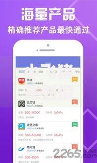 小飞猪系列借款口子：正规借款渠道解析与选择指南