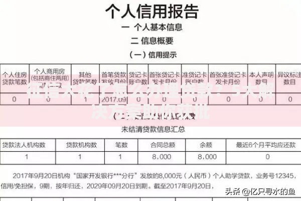 征信太花了怎么办理贷款？5大解决方案助你获批