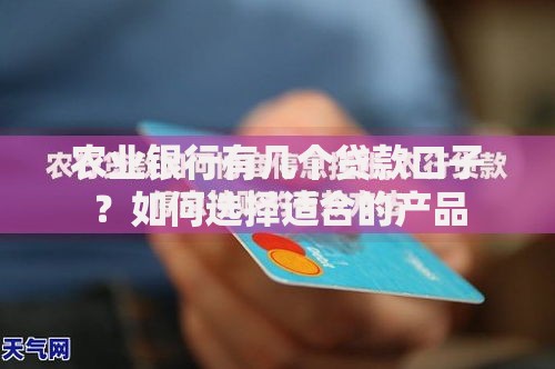 农业银行有几个贷款口子？如何选择适合的产品