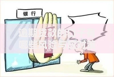 逾期贷款的口子有哪些风险与应对策略？